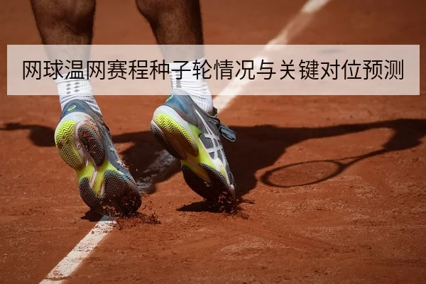 网球温网赛程种子轮情况与关键对位预测