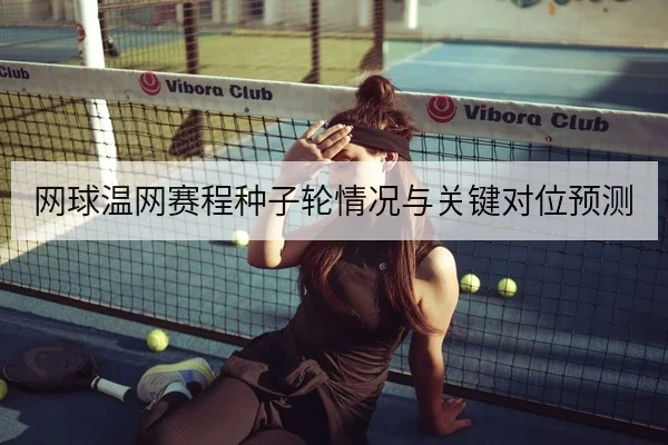 网球温网赛程种子轮情况与关键对位预测